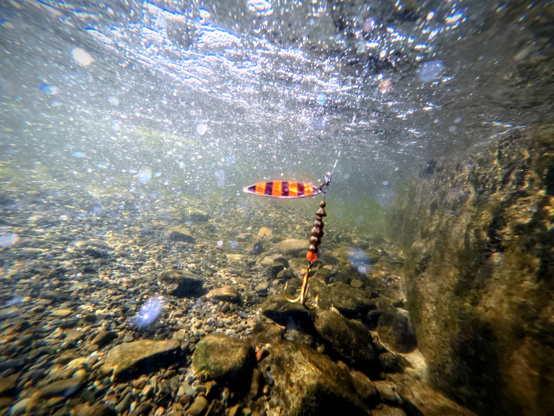 Korzenie w tradycji, siła w innowacji